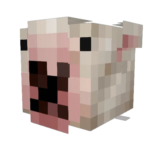 KajoMarc Minecraft avatar head, 3D render