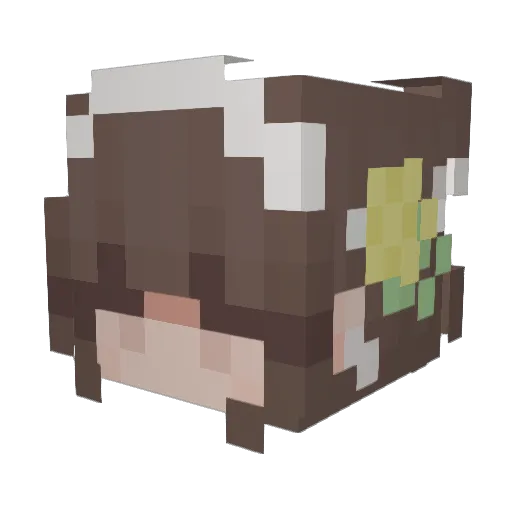 Kajson_my Minecraft avatar head, 3D render