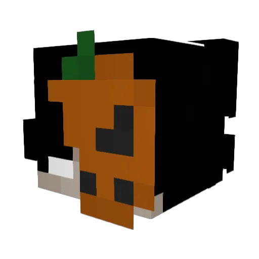 Kajtek504 Minecraft avatar head, 3D render