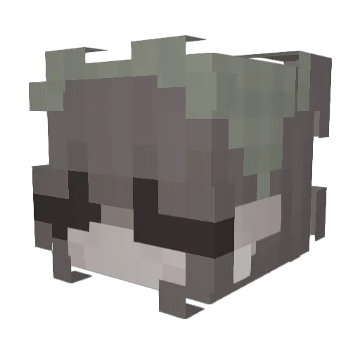 KajusiaQ11 Minecraft avatar head, 3D render