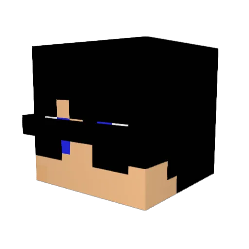 Kakadu356 Minecraft avatar head, 3D render