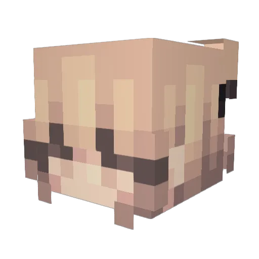Kakao_pay Minecraft avatar head, 3D render