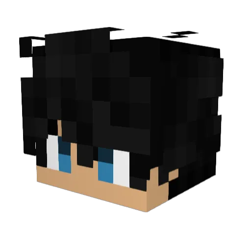 Kakau_9 Minecraft avatar head, 3D render