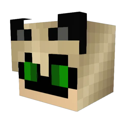Kake_Killer Minecraft avatar head, 3D render