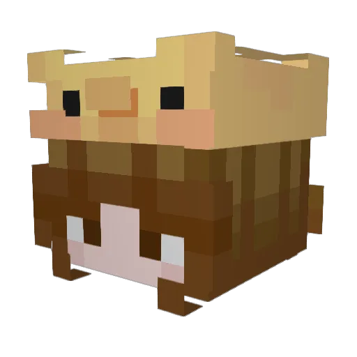 Kakkou Minecraft avatar head, 3D render