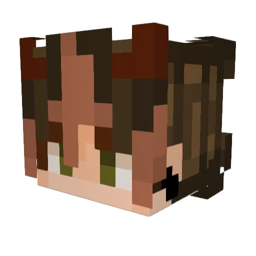 Kaknix_ Minecraft avatar head, 3D render