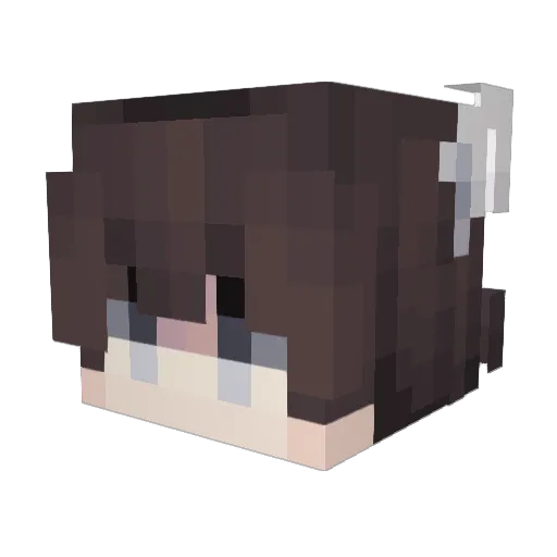 Kako10 Minecraft avatar head, 3D render
