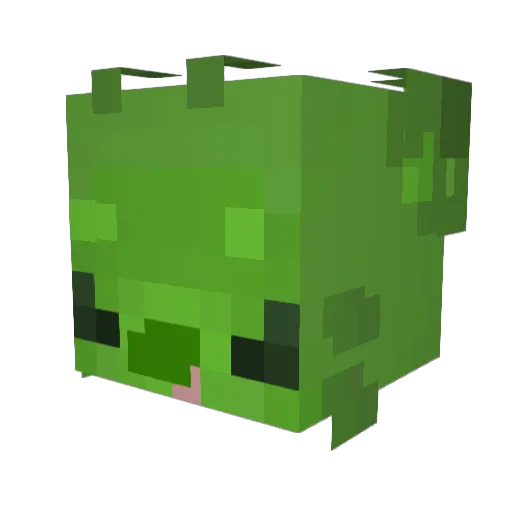 KakoMoo Minecraft avatar head, 3D render