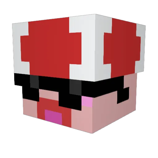 Kakousse Minecraft avatar head, 3D render