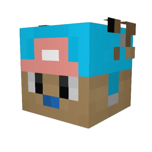 Kaksu849 Minecraft avatar head, 3D render