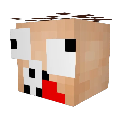 KaktusPlayer123 Minecraft avatar head, 3D render
