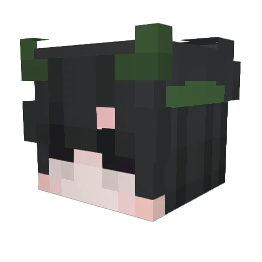 KaktusToNoob Minecraft avatar head, 3D render