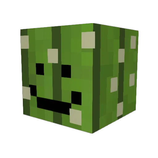 Kaktuse1 Minecraft avatar head, 3D render