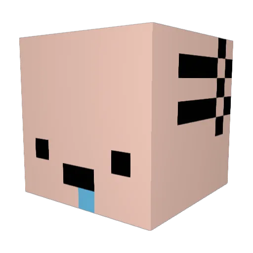 Kaktusjt Minecraft avatar head, 3D render