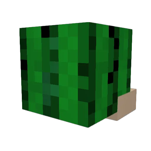 Kaktuuusss Minecraft avatar head, 3D render