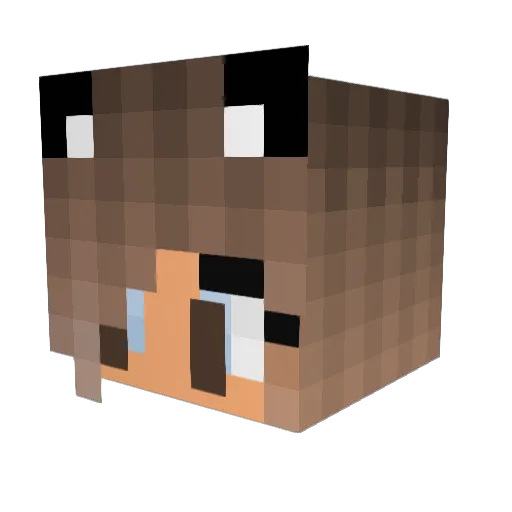 Kalake_ Minecraft avatar head, 3D render
