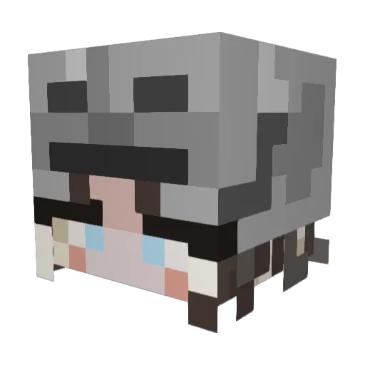 Kalamari0_00 Minecraft avatar head, 3D render