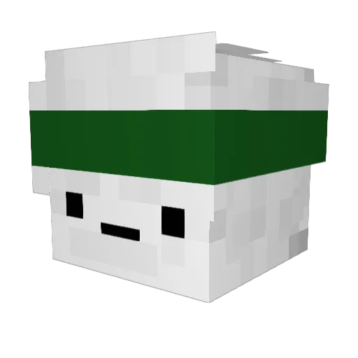Kalapie Minecraft avatar head, 3D render