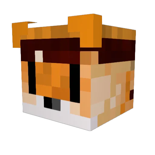 Kalcefer Minecraft avatar head, 3D render