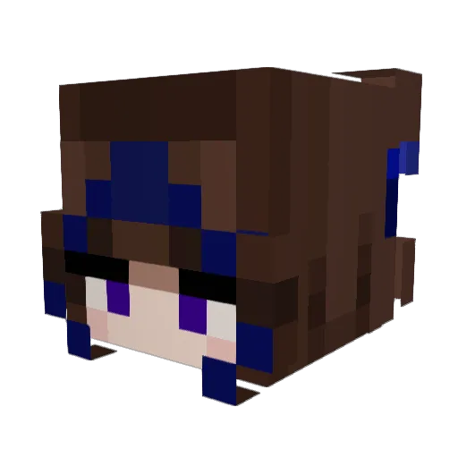 KaleSoup17 Minecraft avatar head, 3D render
