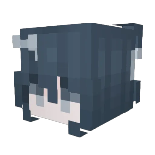 Kaleb Minecraft avatar head, 3D render