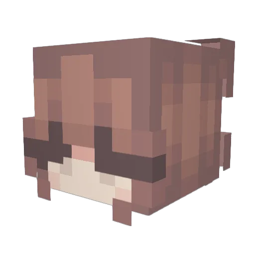 KaleighH1226 Minecraft avatar head, 3D render