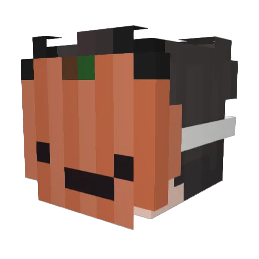 Kaleir_ Minecraft avatar head, 3D render
