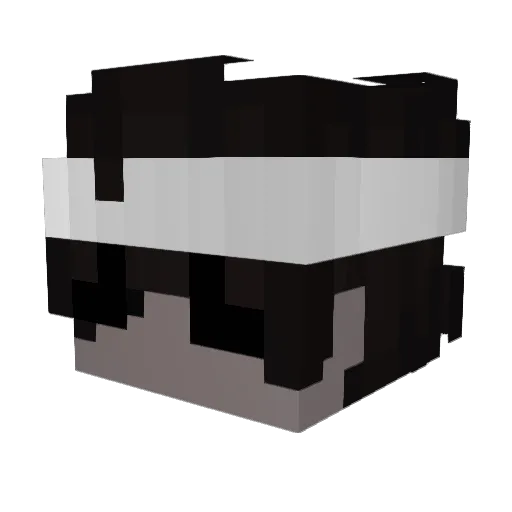 Kalel72007 Minecraft avatar head, 3D render