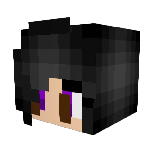 Kaleus010 Minecraft avatar head, 3D render