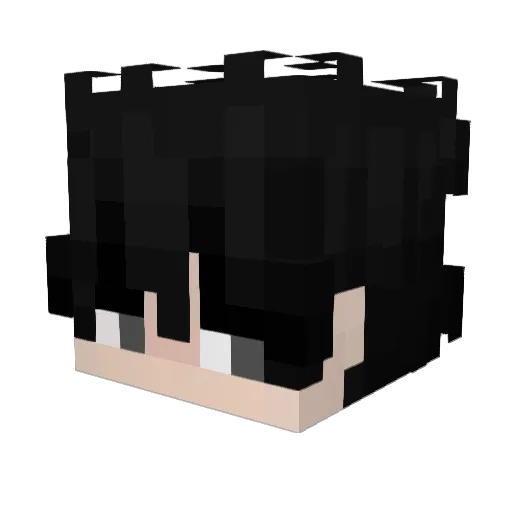 Kalevi222 Minecraft avatar head, 3D render