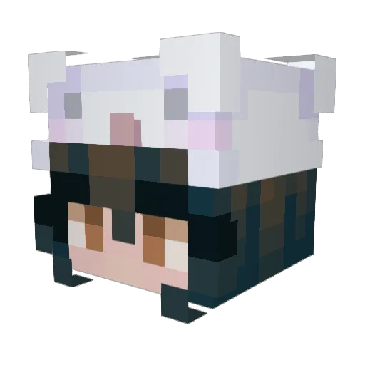 Kalgurn Minecraft avatar head, 3D render