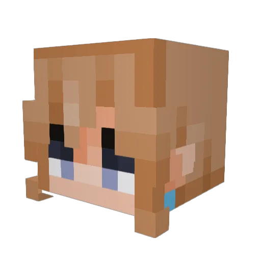 Kalicion Minecraft avatar head, 3D render