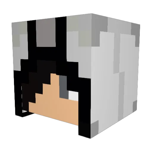 Kalihiwai Minecraft avatar head, 3D render