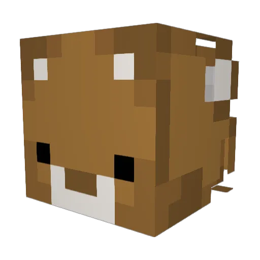 Kalikaat Minecraft avatar head, 3D render