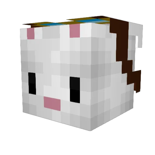 Kalimazoo Minecraft avatar head, 3D render