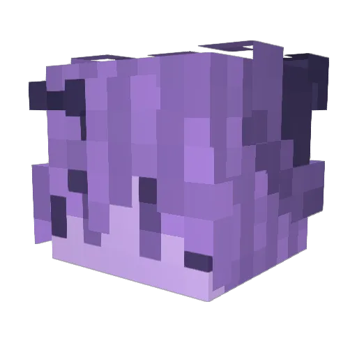 Kalipoy Minecraft avatar head, 3D render