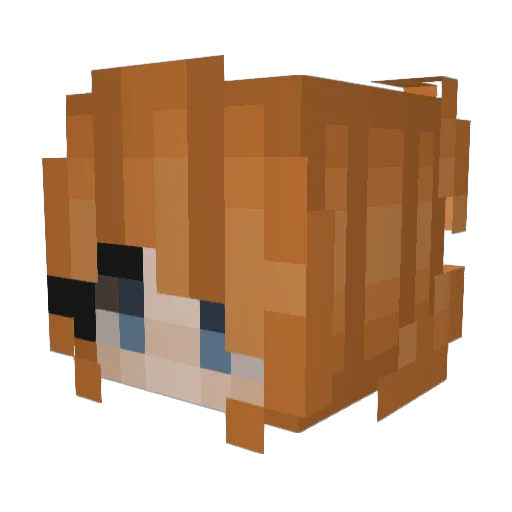 Kaliya13 Minecraft avatar head, 3D render