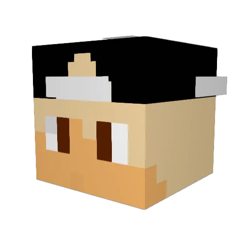 Kalkoentje Minecraft avatar head, 3D render
