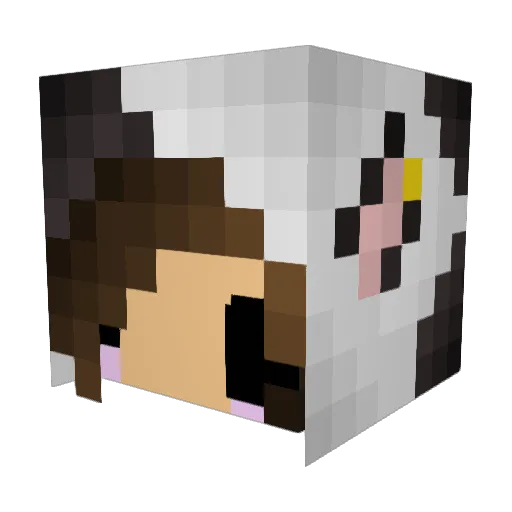 Kalle29 Minecraft avatar head, 3D render
