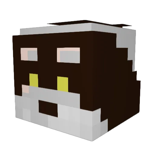 Kallidan Minecraft avatar head, 3D render