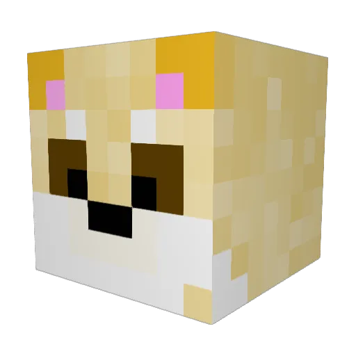 Kallikcooldude Minecraft avatar head, 3D render