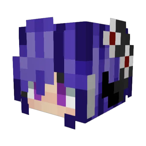 Kallyballyb Minecraft avatar head, 3D render
