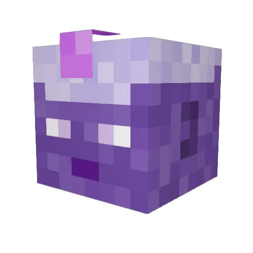 Kallyx Minecraft avatar head, 3D render