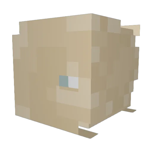 KalonJ21 Minecraft avatar head, 3D render