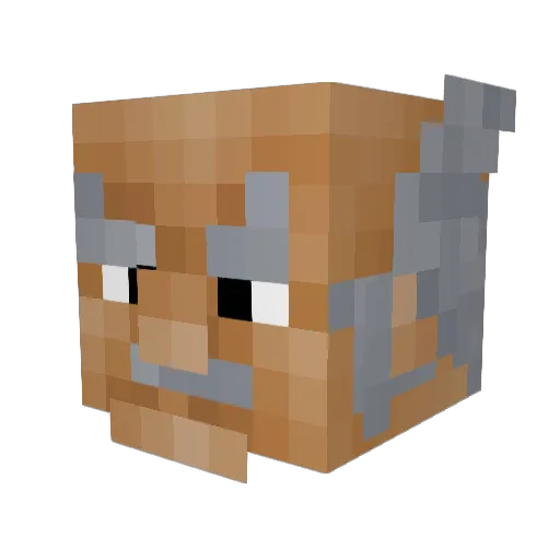 Kalter_Frost1337 Minecraft avatar head, 3D render