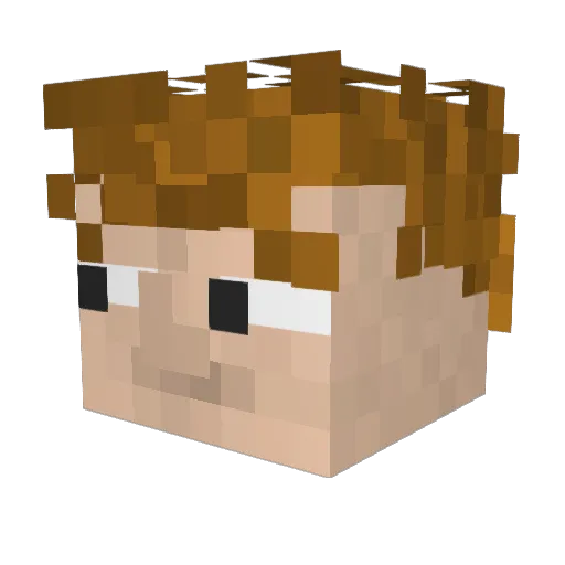 Kaluga1910 Minecraft avatar head, 3D render