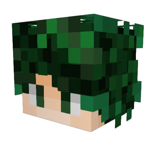 Kalvarax Minecraft avatar head, 3D render