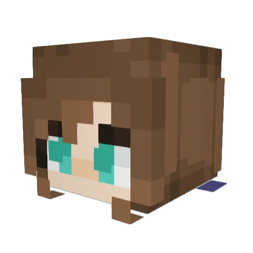 Kam00k Minecraft avatar head, 3D render