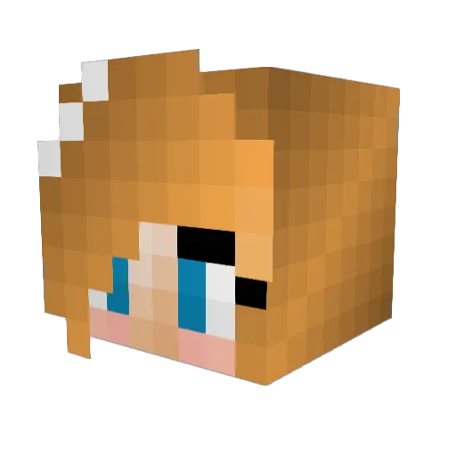 Kam1lla Minecraft avatar head, 3D render