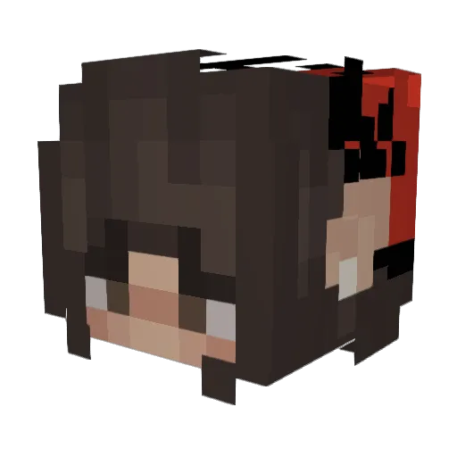 Kamdyn17 Minecraft avatar head, 3D render